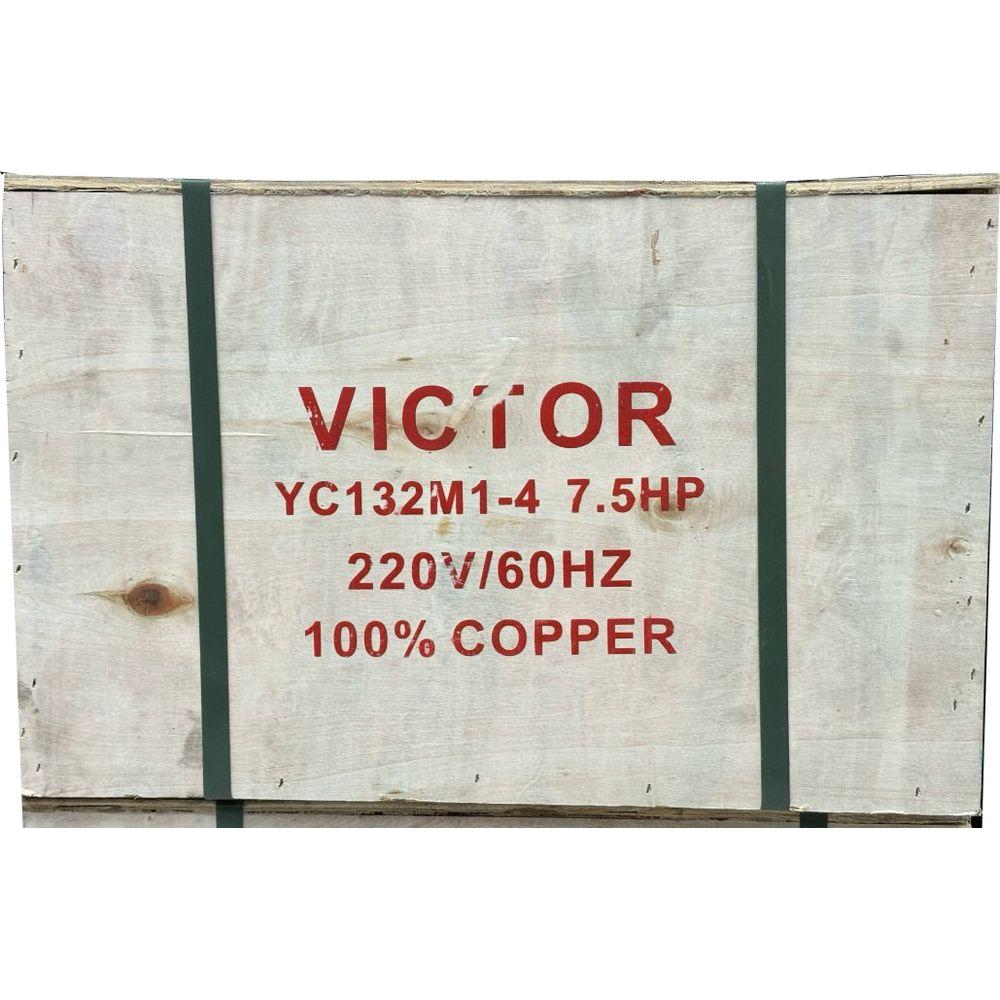 Victor Electric Induction Motor (Copper) Victor Electric Induction Motor (Copper)